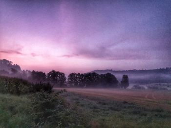 Trees on field against sky during foggy weather