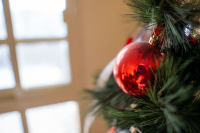 Close-up of christmas tree at home