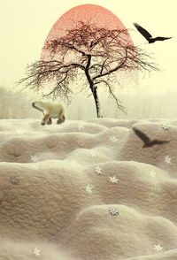 Sheep on landscape against sky