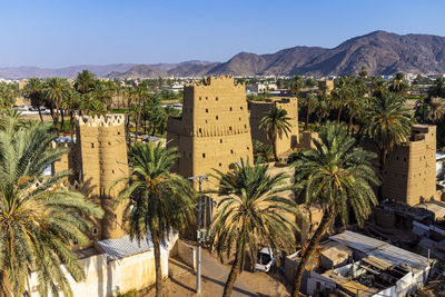 Saudi arabia, najran province, najran, aerial view of traditional arabic mud houses surrounded by palm trees