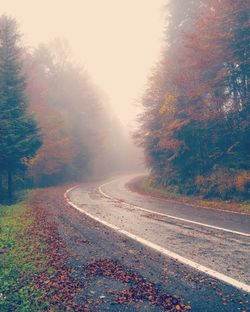 Road amidst autumn trees against clear sky
