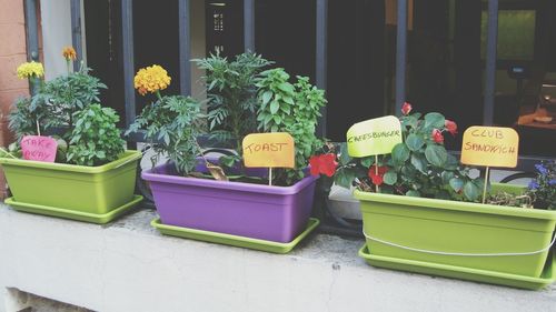 Variety of fruits in the dark