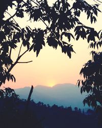 Silhouette trees against sky during sunset