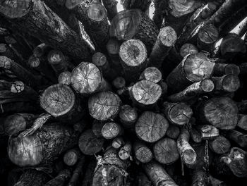 Full frame shot of logs