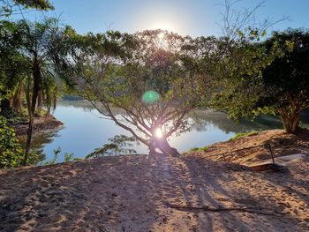 Scenic view of beach against bright sun