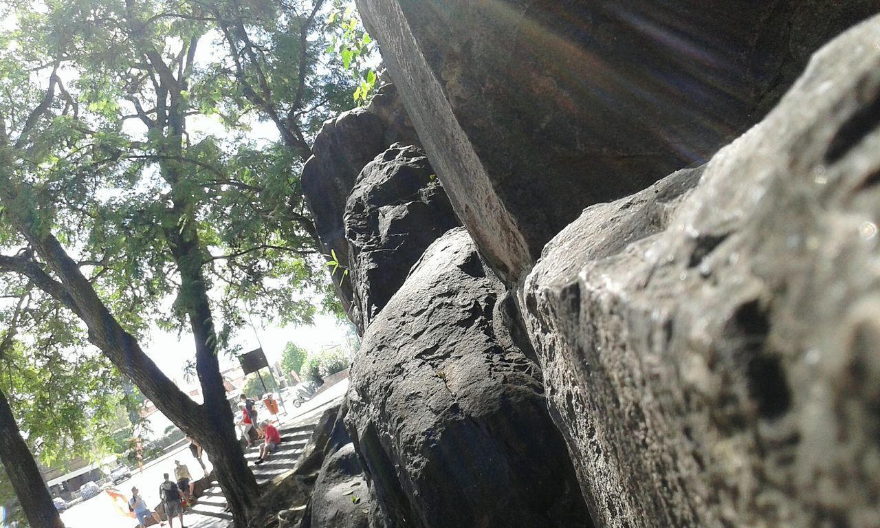 LOW ANGLE VIEW OF PEOPLE IN FOREST