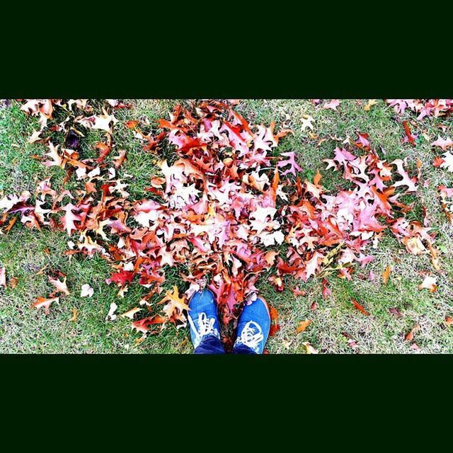 low section, autumn, standing, person, lifestyles, leaf, shoe, change, season, leisure activity, high angle view, auto post production filter, men, fallen, leaves, field, nature