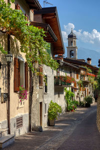 Potted plants on street amidst buildings in town