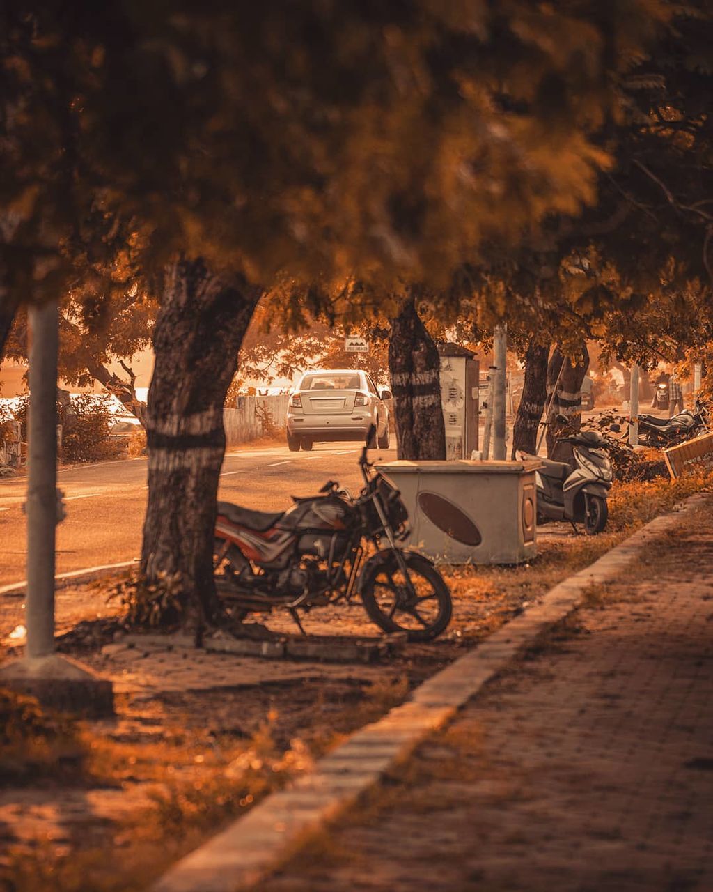 evening, transportation, night, bicycle, mode of transportation, tree, nature, land vehicle, vehicle, plant, darkness, wheel, no people, sunset, land, bicycle wheel, outdoors, city, sky, road, street, light, travel, architecture