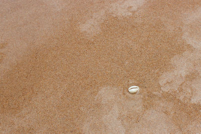 High angle view of wet sand on beach