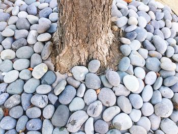 Close-up of pebbles