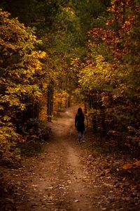 Rear view of woman walking in forest during autumn