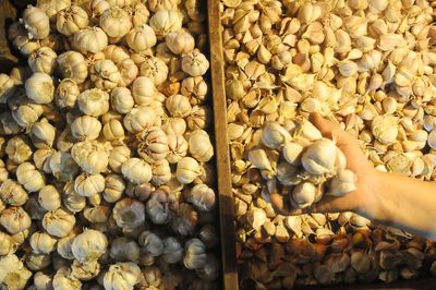 High angle view of vegetables in market