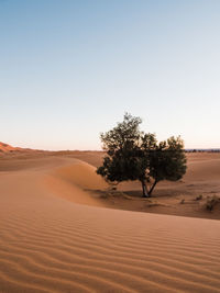 Scenic view of desert against clear sky