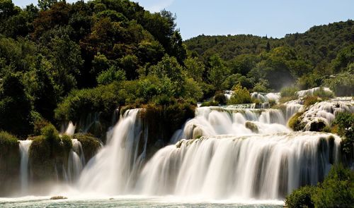 Scenic view of waterfall in forest