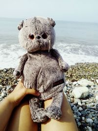 Close-up of child on beach against sky