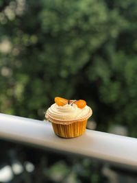 Close-up of cupcakes