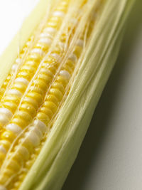 Close-up of corn over white background