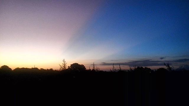 silhouette, sunset, tranquil scene, tranquility, scenics, copy space, beauty in nature, landscape, nature, sky, idyllic, clear sky, blue, dusk, field, dark, tree, outline, outdoors, horizon over land