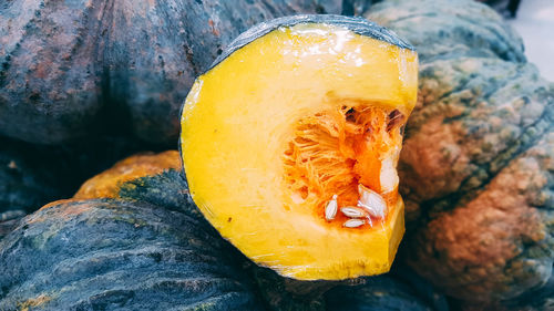 Close-up of pumpkin on rock