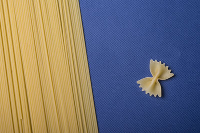 Close-up of yellow flower against white background