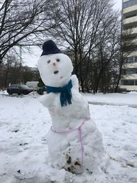 White horse on snow covered field