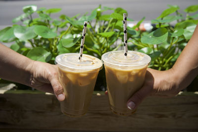 Cropped image of hands holding iced lattes in front of greenery in los angeles, ca