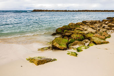 Scenic view of sea shore against sky