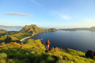 Rear view of man standing against sea on hill