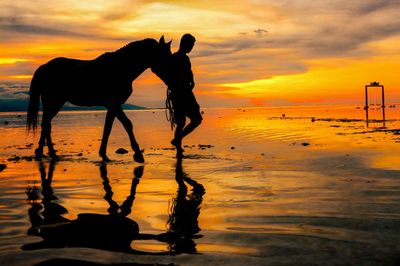 A horse is herded by a man passing by the beach in gili trawangan island