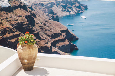 Plants in vase against rock formation at santorini