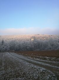 Scenic view of field against clear sky during winter