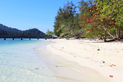 Scenic view of beach against clear sky