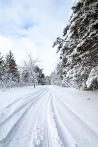 Snow covered road amidst trees against sky