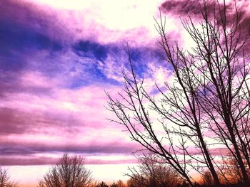 Low angle view of silhouette bare trees against sky