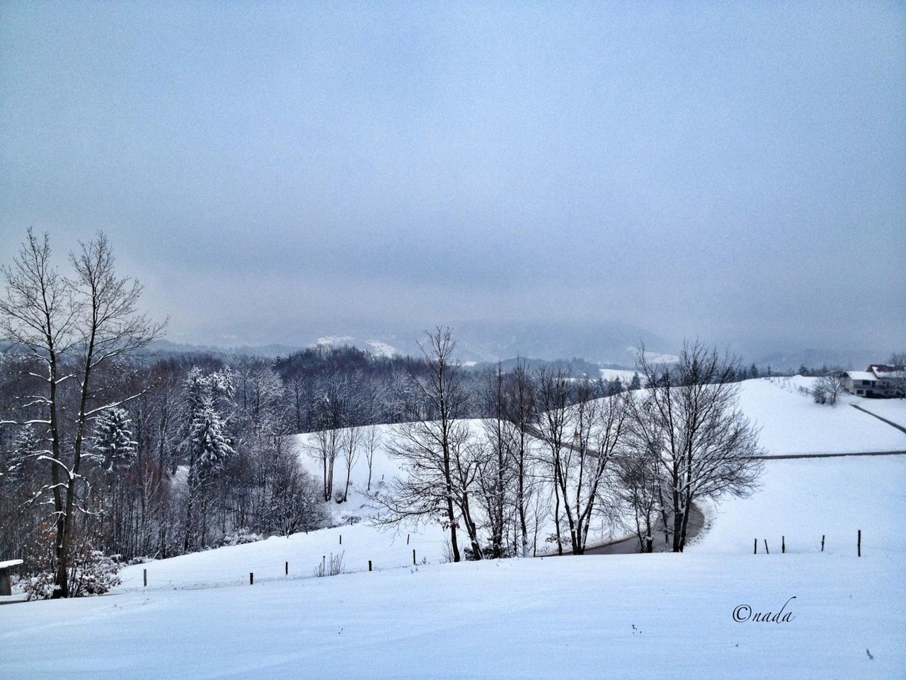 snow, winter, cold temperature, season, weather, covering, landscape, frozen, white color, tree, covered, nature, tranquil scene, tranquility, field, snow covered, beauty in nature, scenics, sky, snowcapped mountain