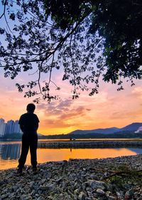 Rear view of silhouette man standing by trees against sky during sunset