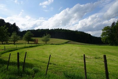 Scenic view of grassy field against sky