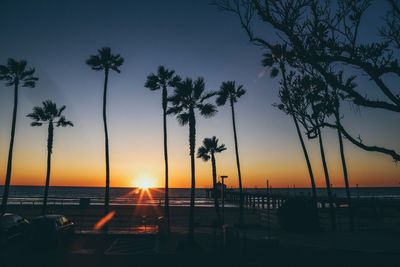 Silhouette palm trees on beach against sky during sunset