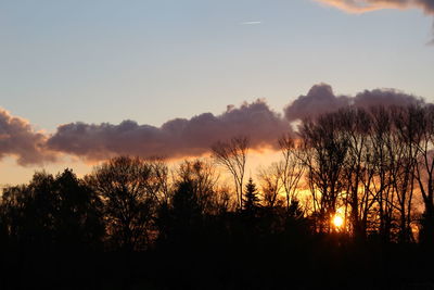 Silhouette trees in forest against sky at sunset