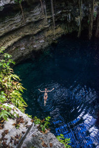 High angle view of starfish on rock by trees