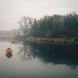 Reflection of trees in lake against sky