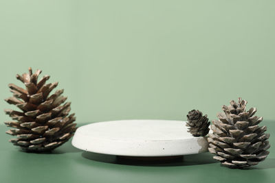 Cement pedestal concrete podium with pine cones. display showcase for natural self care product 