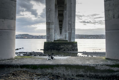 Bridge over sea against sky