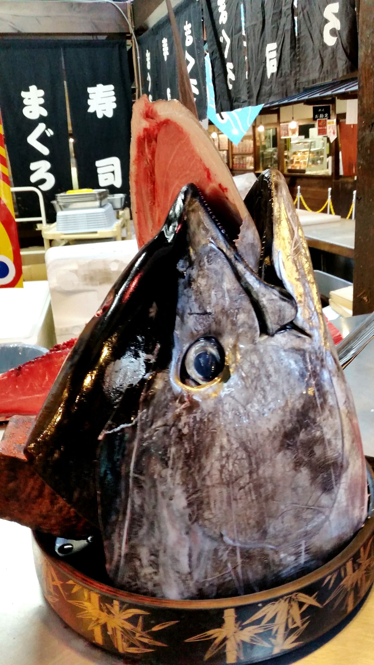 Makuro fish