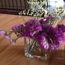 Close-up of flowers in vase