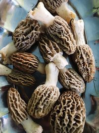 High angle view of mushrooms in basket on table