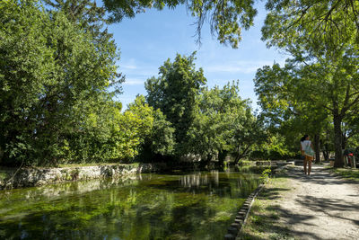 Scenic view of lake in forest