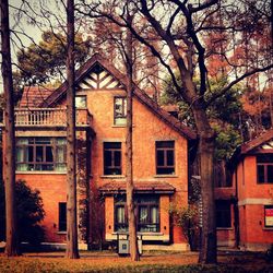 Building with trees in background