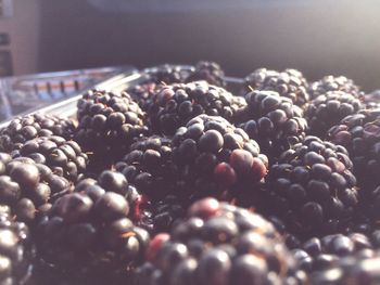 Close-up of ice cream